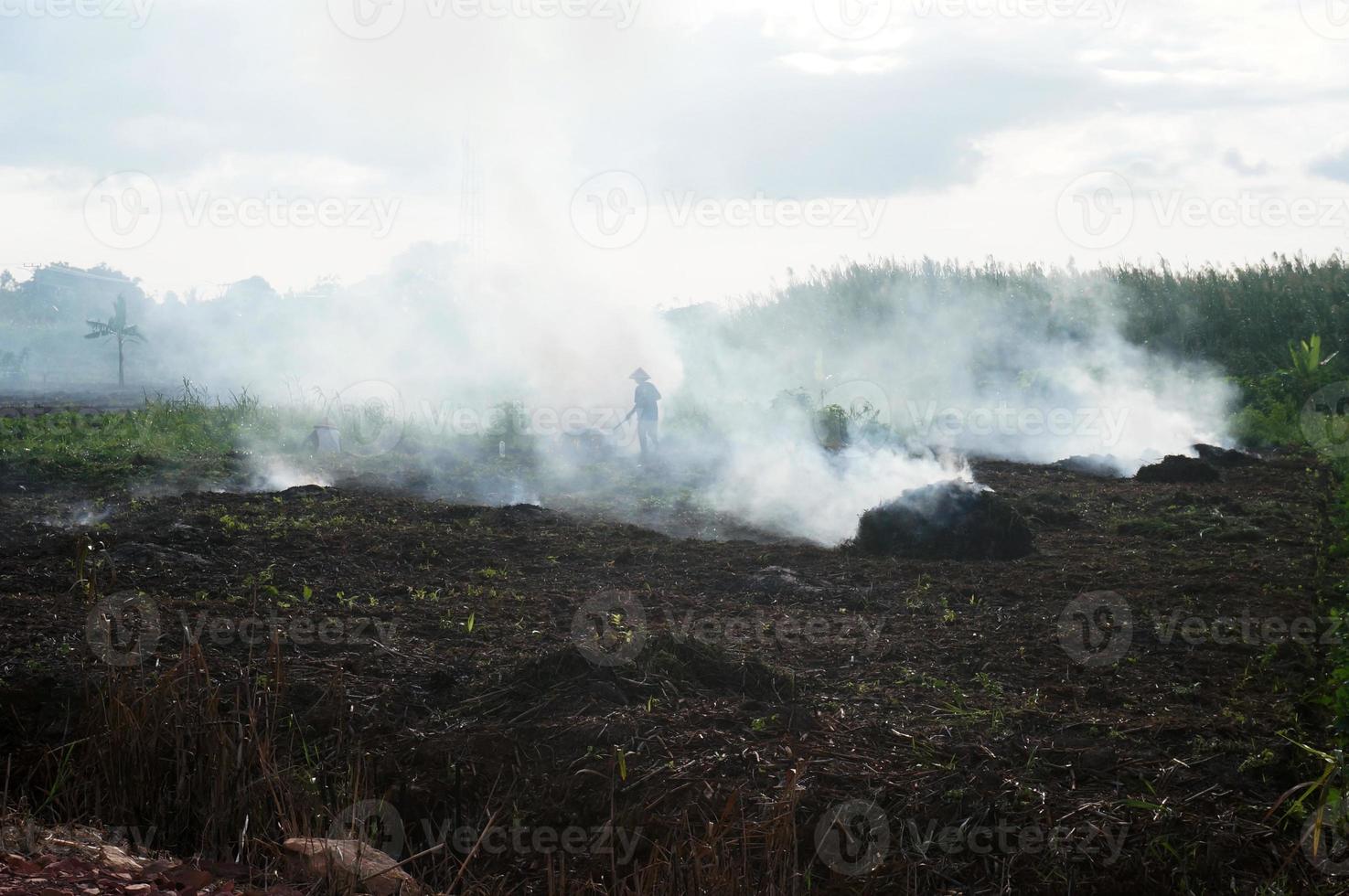 Burning land for open fields,  a method often used to clear land by local farmers. photo