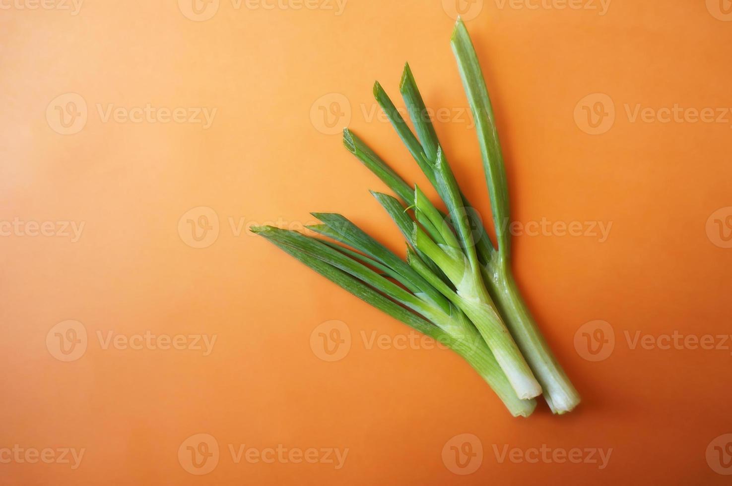 Leeks vegetable closeup isolated on orange background photo