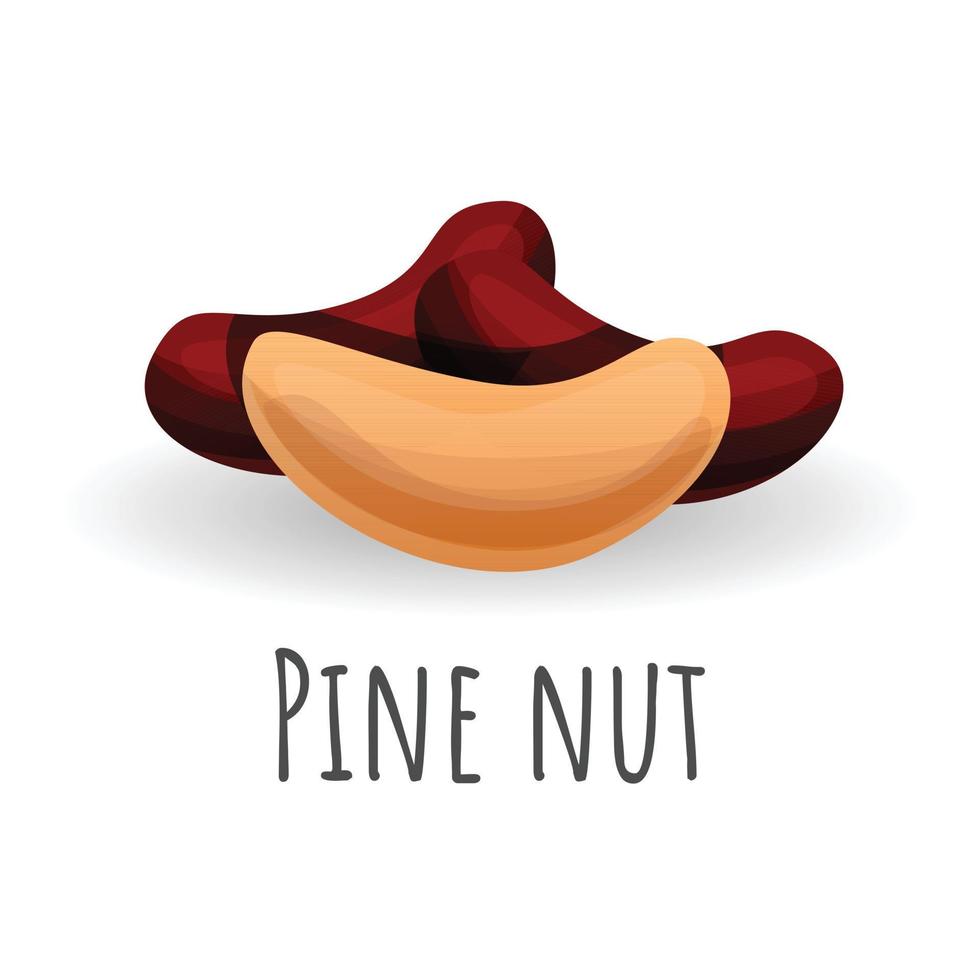 Fresh pine nut icon, cartoon style vector