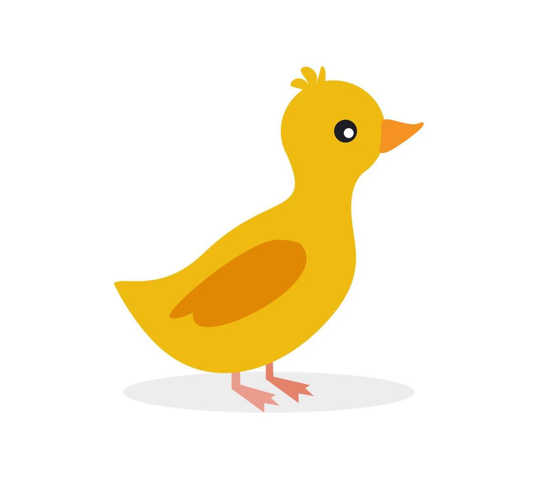 Cute duckling in flat style isolated on white background vector