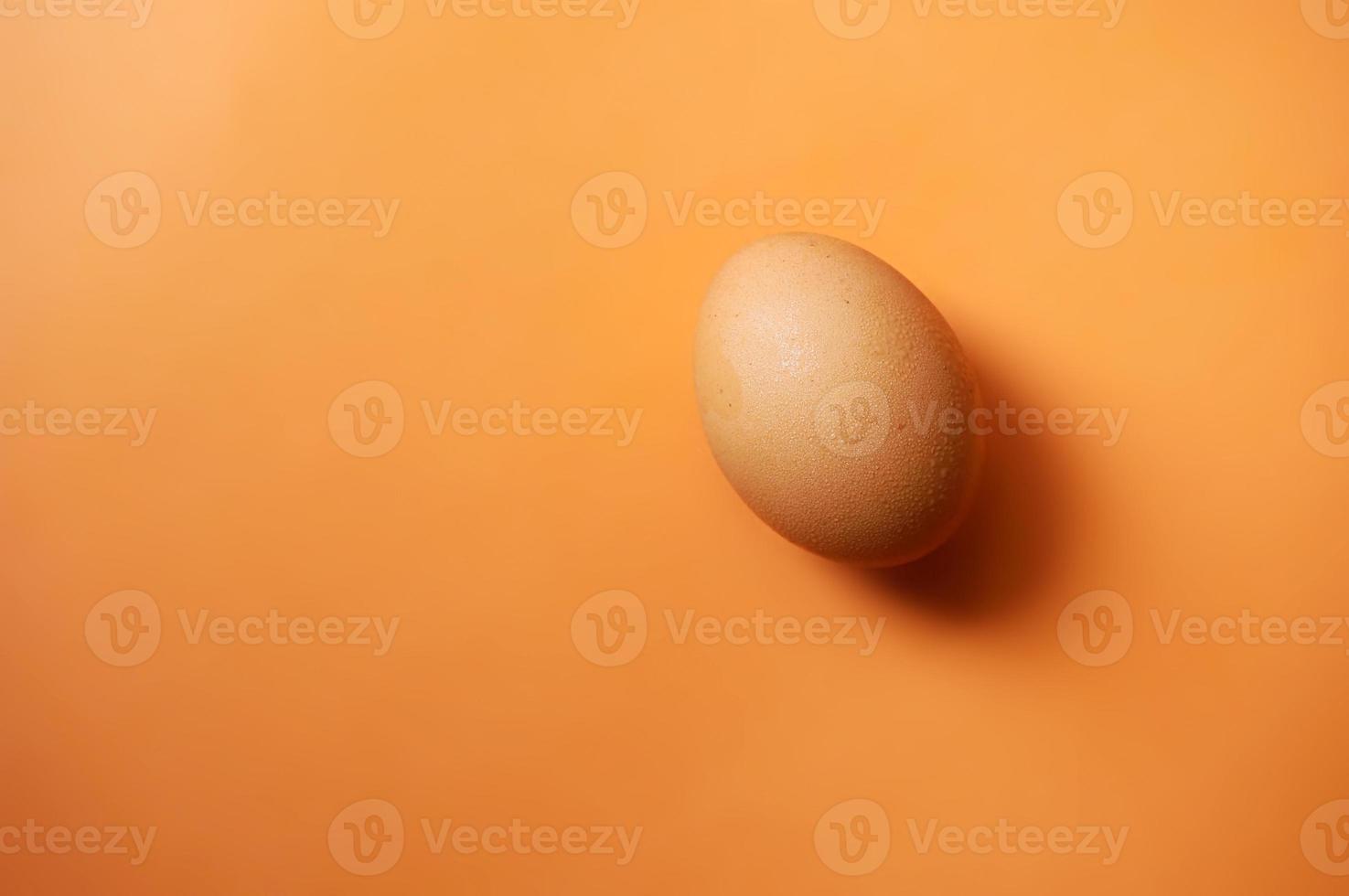 Chicken eggs isolated on orange background photo