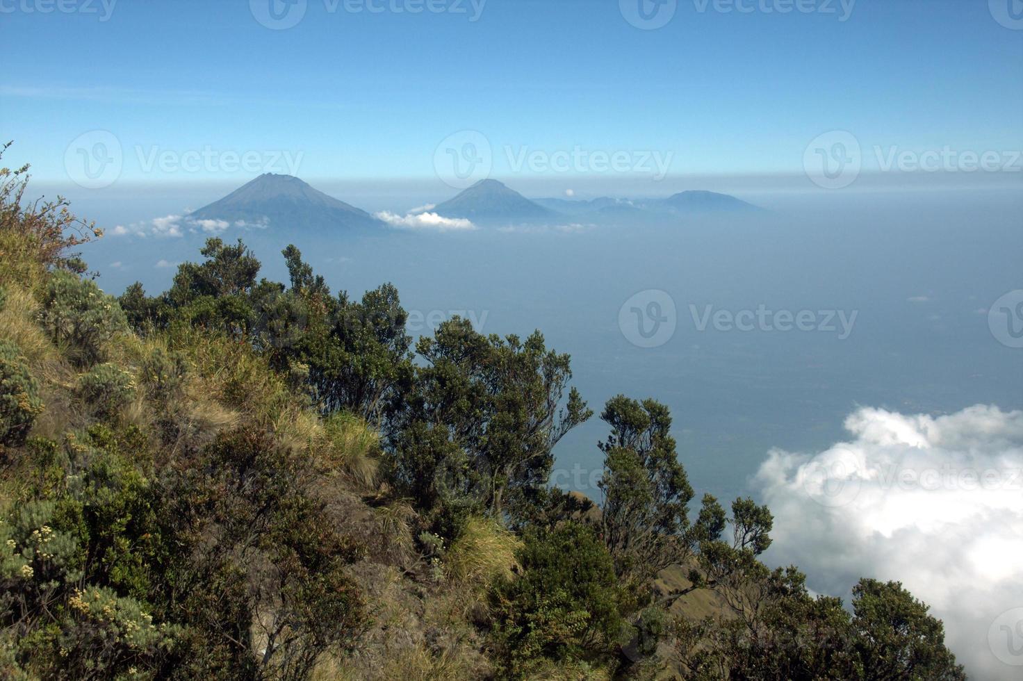 View from the merbabu mountain hiking trail. Central Java, Indonesia photo