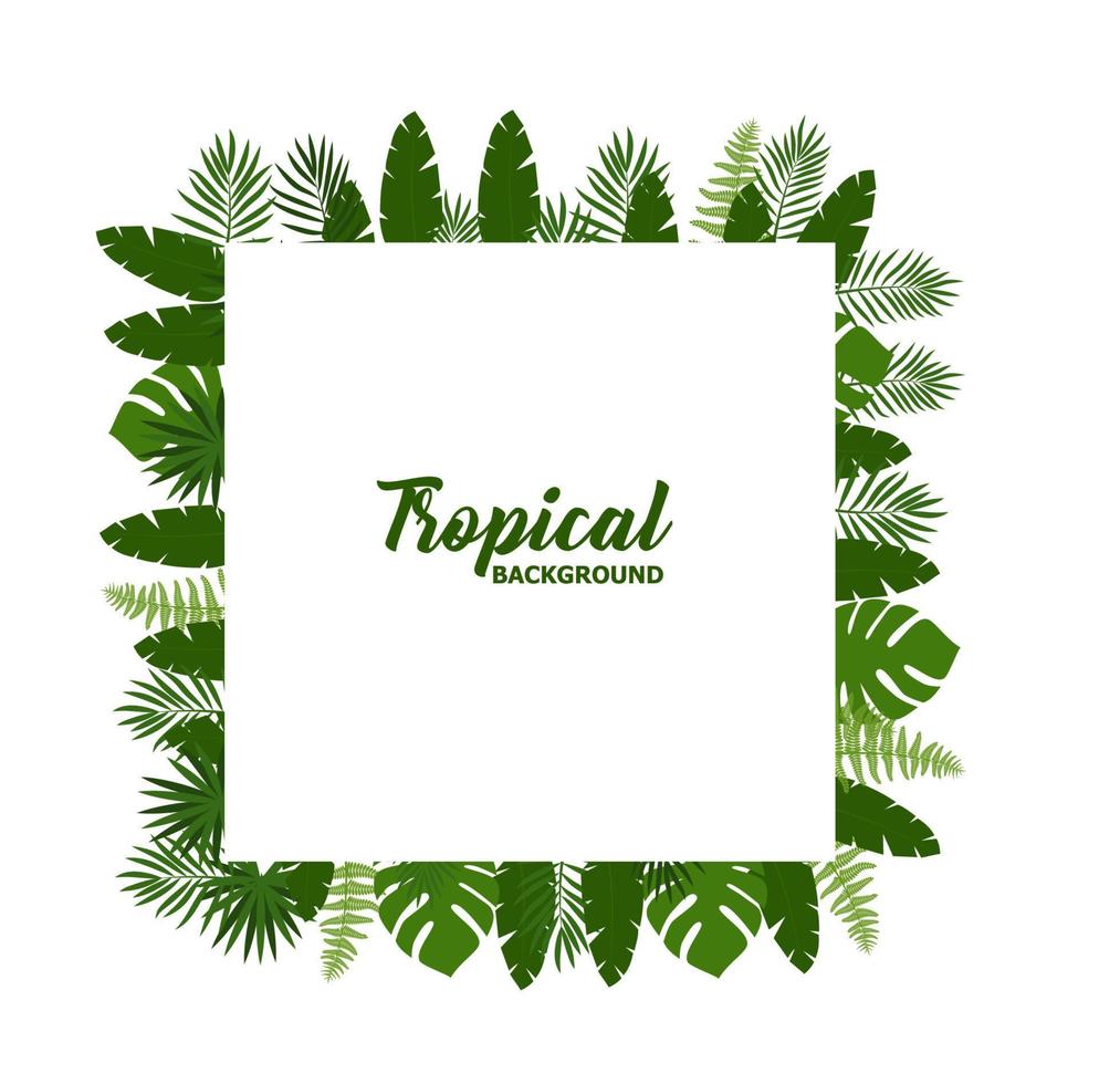 fondo tropical de verano verde con plantas y hojas de palma exóticas. fondo floral vectorial. vector