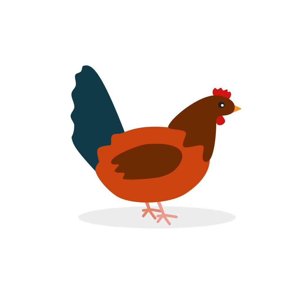 Cute chicken in flat style isolated on white background vector