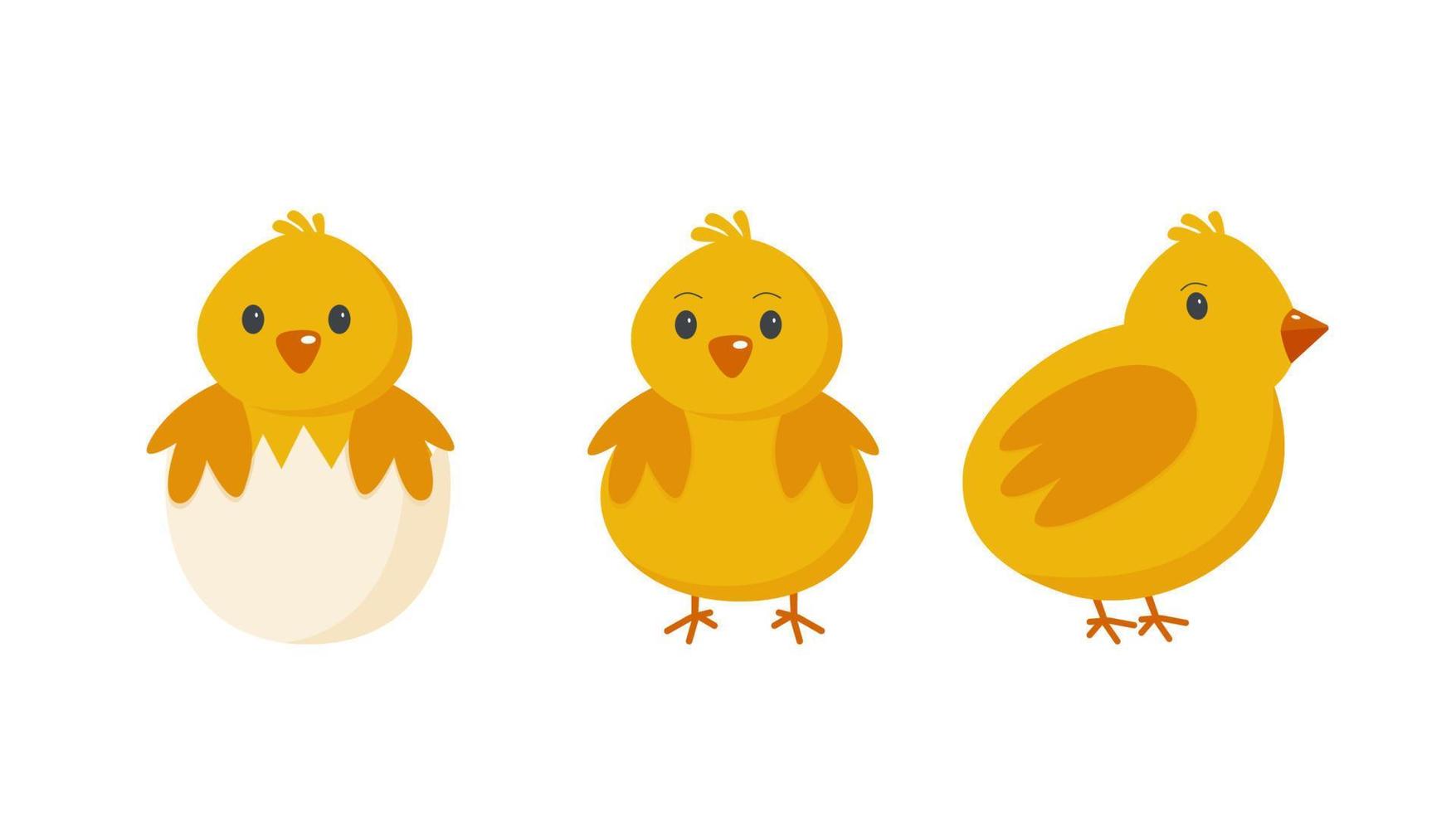 estilo de dibujos animados de pollos de pascua sobre un fondo blanco vector