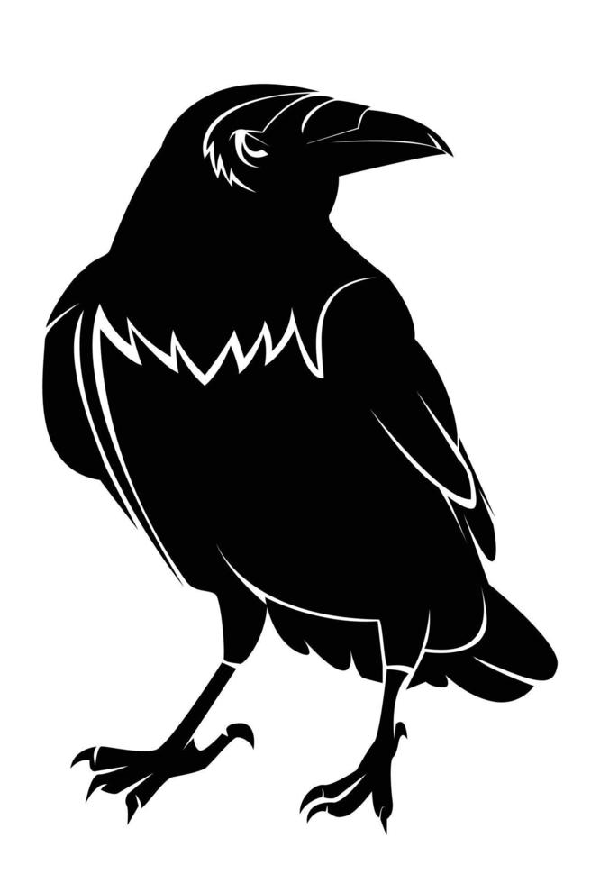 Crow vector illustration