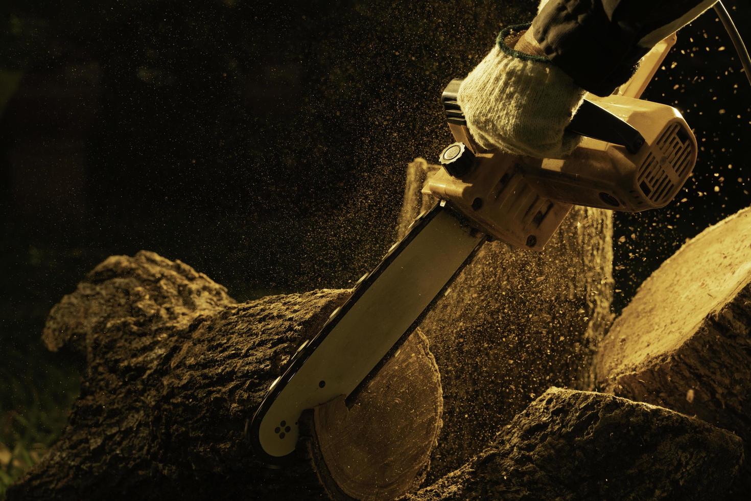 electric chainsaws cut trees in the forest for building a house and making firewood The concept of deforestation photo