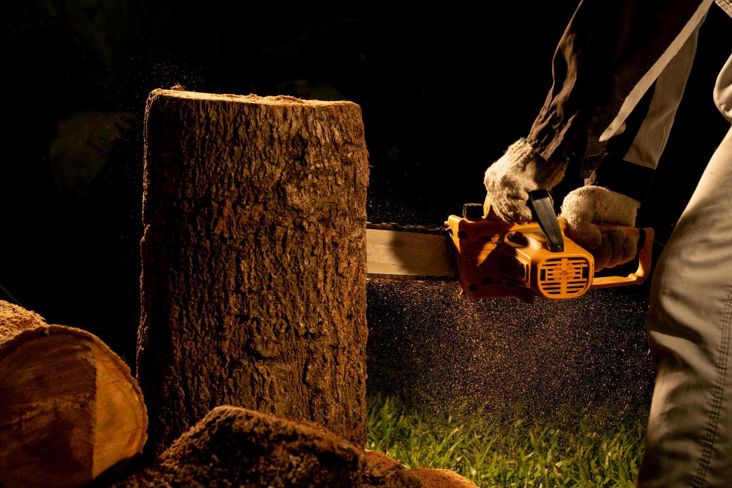 electric chainsaws cut trees in the forest for building a house and making firewood The concept of deforestation photo
