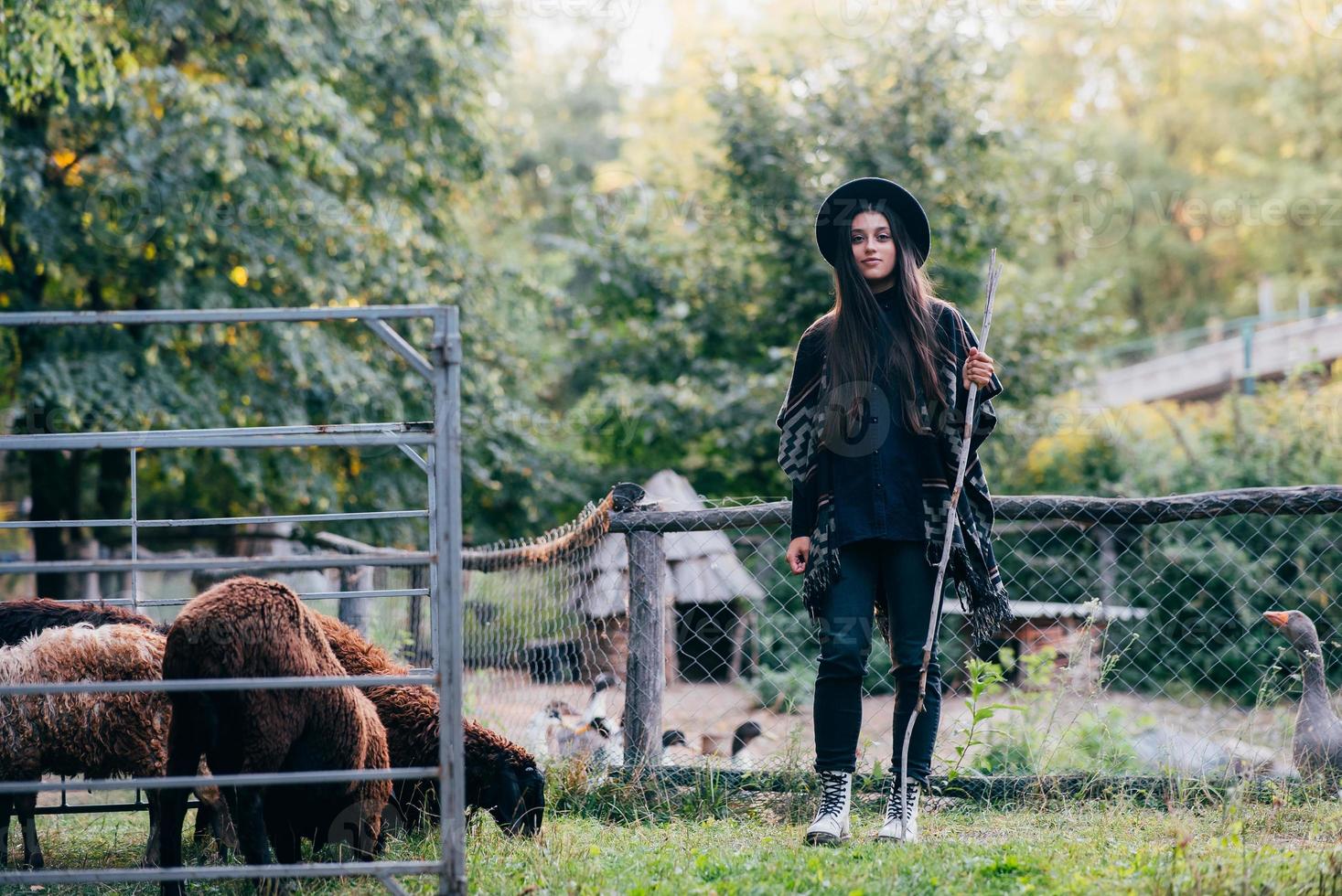 Young woman near a pen with sheep on a farm photo