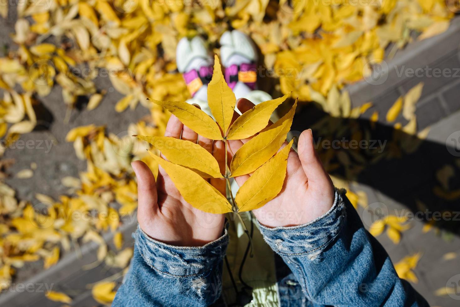 Female hand in autumn park enjoying autumn and holding a leaf. photo