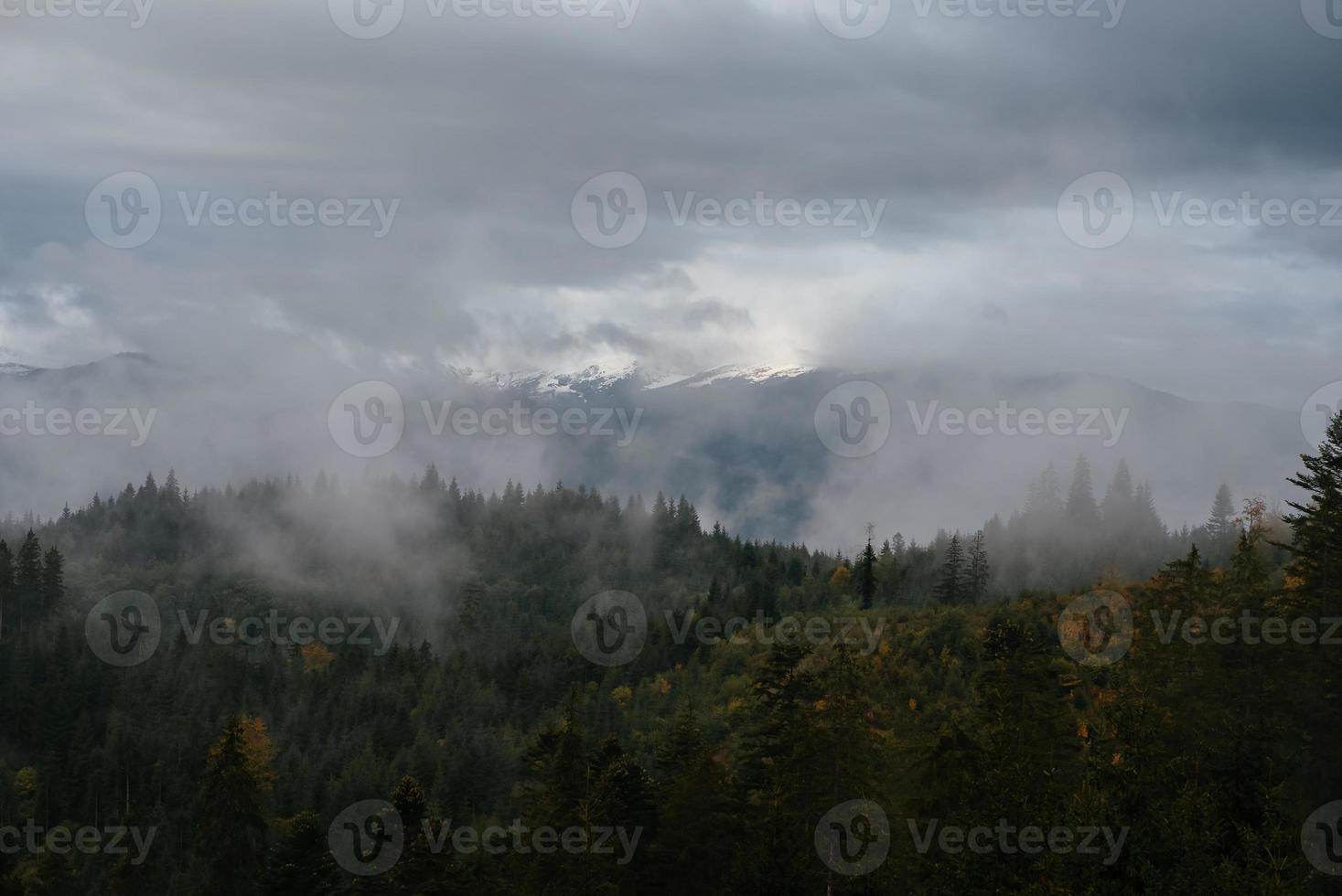 Coniferous Forest and Mountains Landscape Travel serene scenery photo