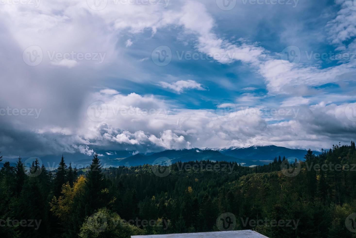 Coniferous Forest and Mountains Landscape Travel serene scenery photo