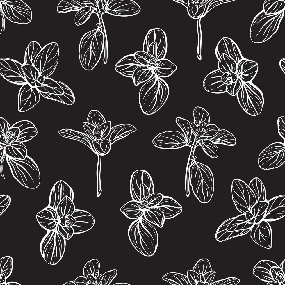 vector illustration pattern with basil leaves. Basil Seamless Pattern