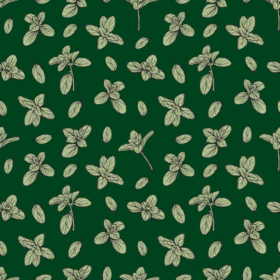 Basil Pattern. Italian herbs.vector illustration vector