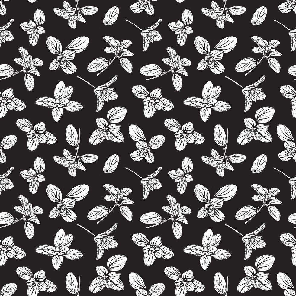 Basil Pattern. Italian herbs.A sprig of marjoram vector