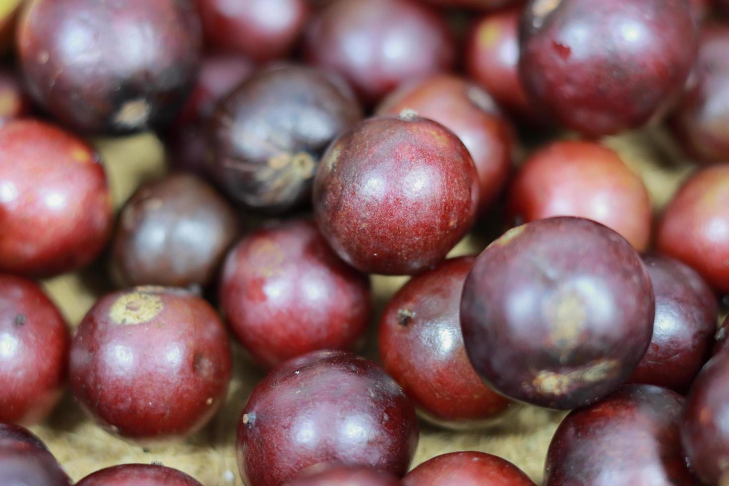 Red Fruits on wooden background. Flacourtia inermis, known commonly as lovi-lovi. photo