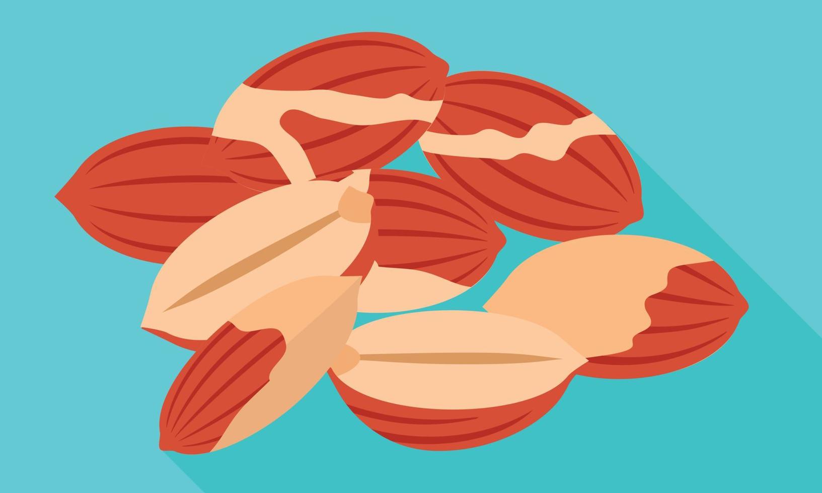 Peanut nuts icon, flat style vector