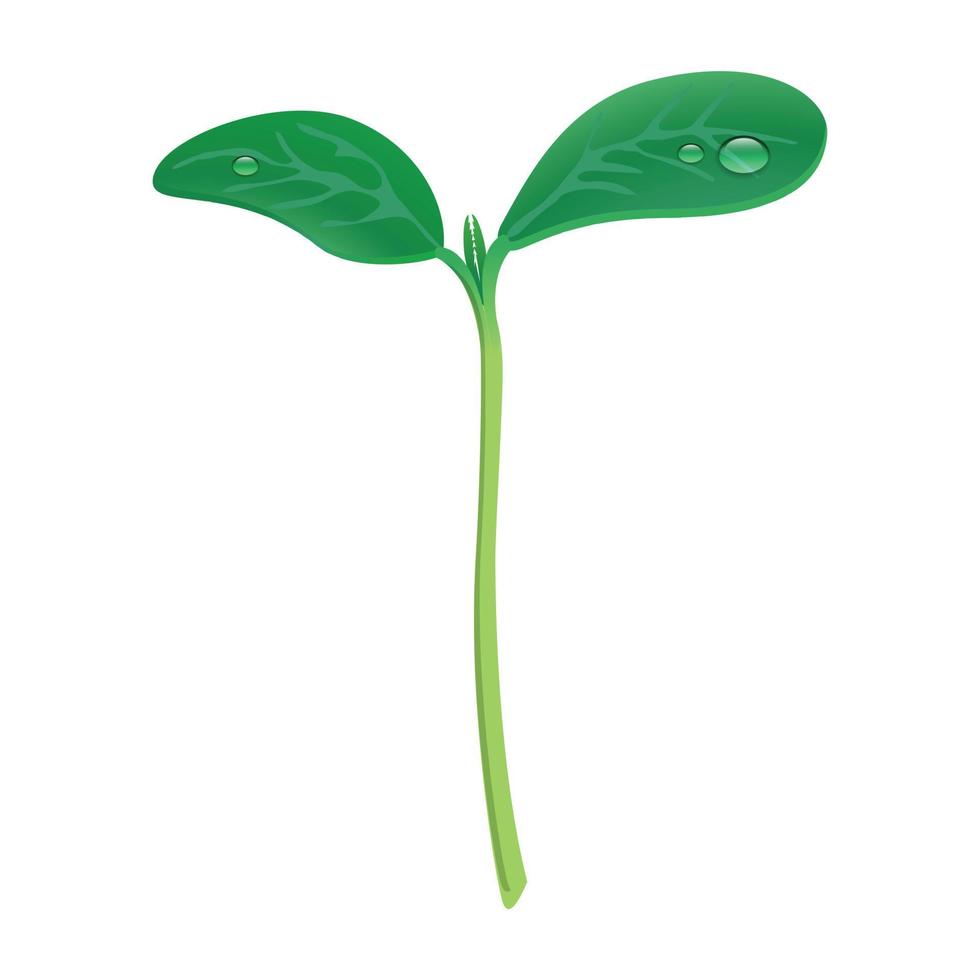 Grow up plant icon, realistic style vector