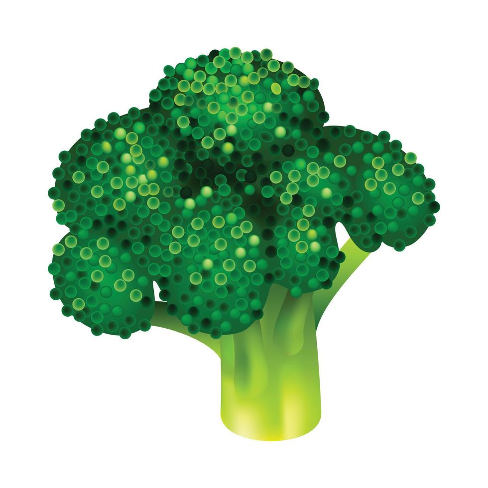 Garden broccoli icon, isometric style vector