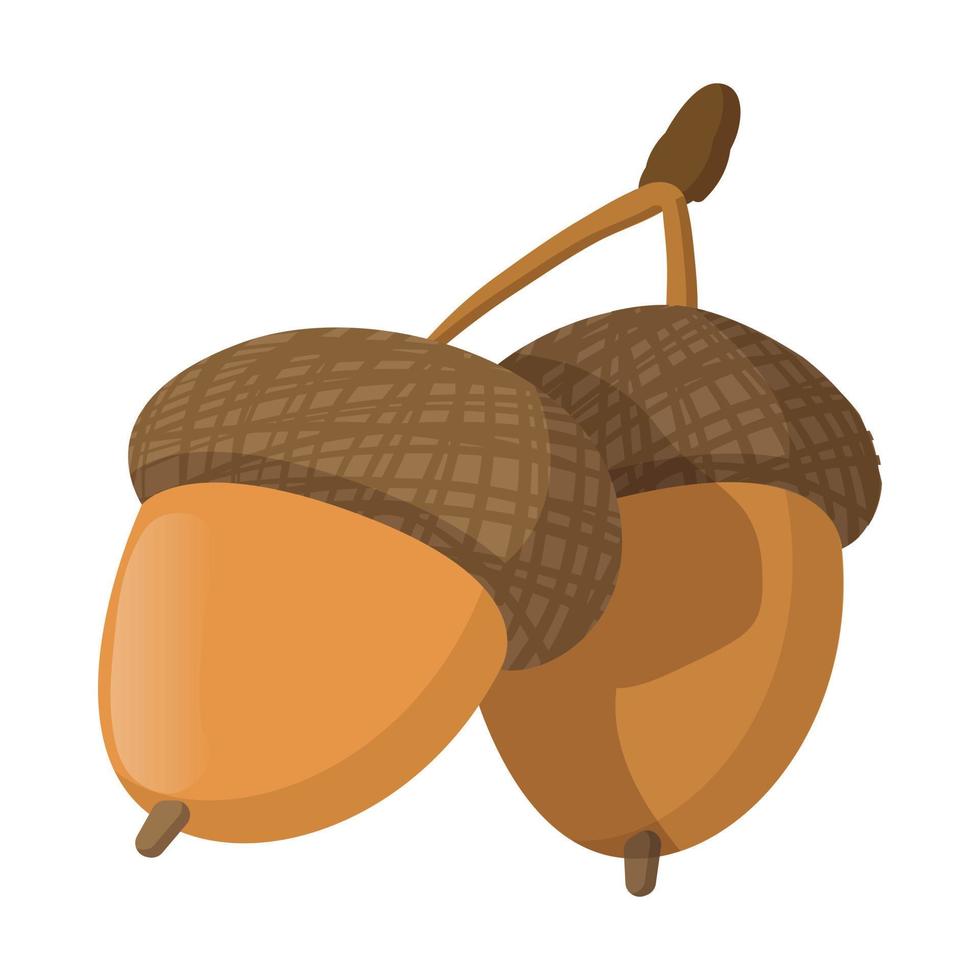 Acorn cartoon icon vector