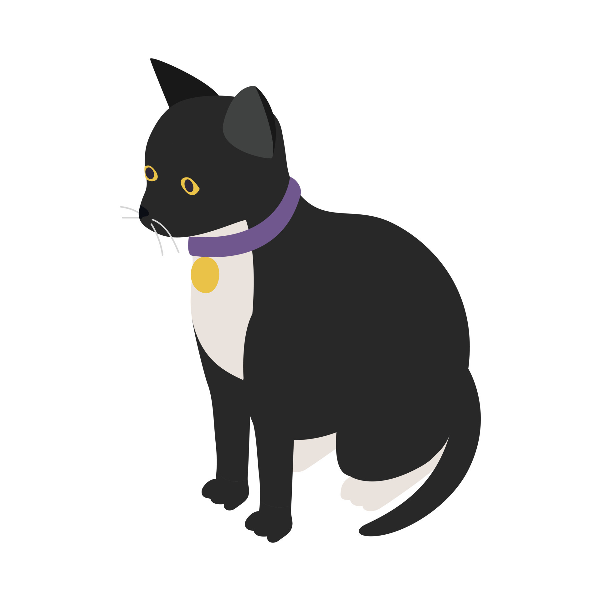 Black cat with collar icon, isometric 3d style 14208793 Vector Art at