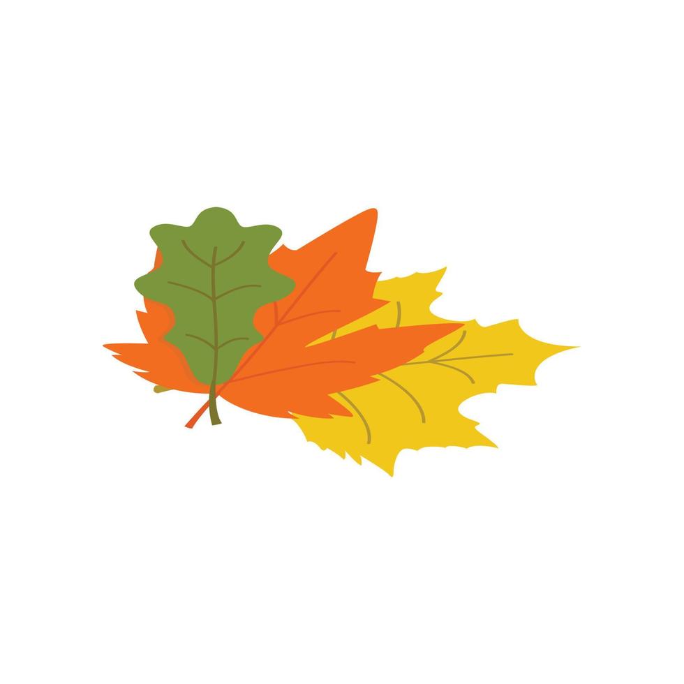 Autumn leaves isometric 3d icon vector