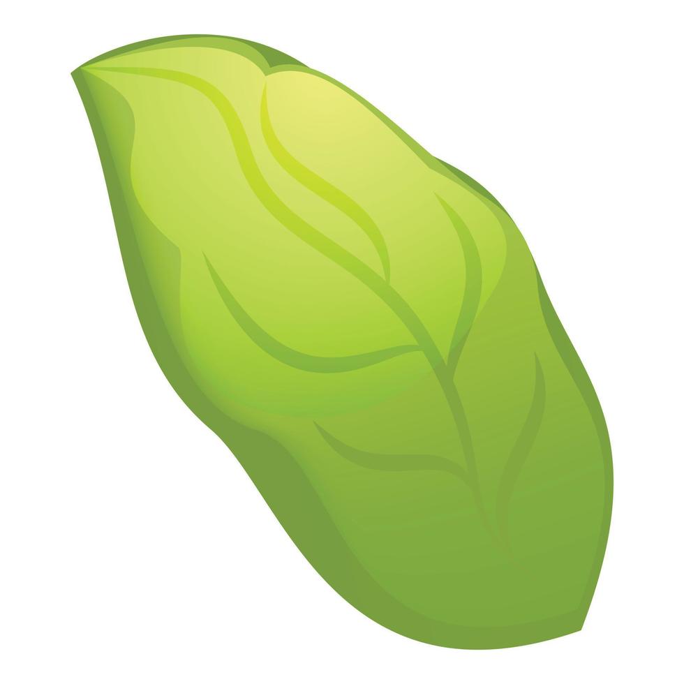 Green leaf icon, cartoon style vector