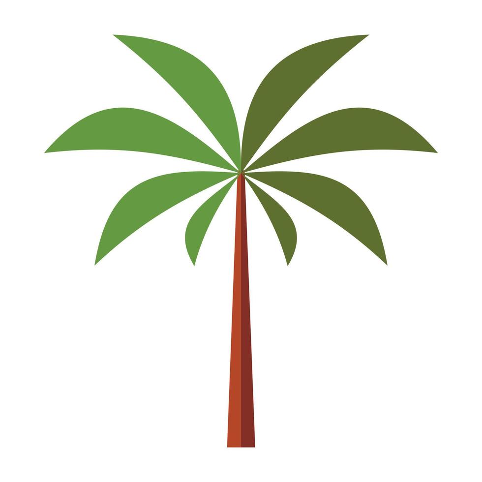 Palm tree flat icon vector