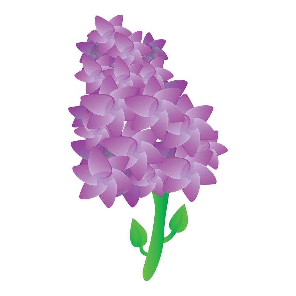 Lilac plant icon, cartoon style vector