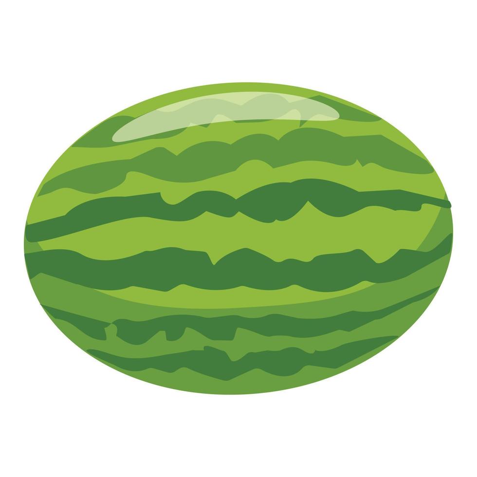 vector de dibujos animados de icono de sandía entera. rebanada de fruta