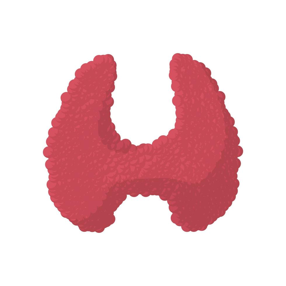 Thyroid cartoon icon vector