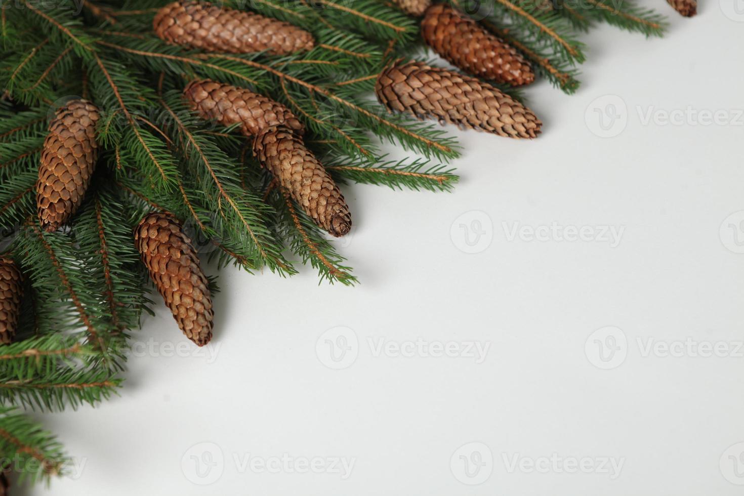 Holidays greeting card or banner composition with pine tree branches. Merry Christmas background and Happy New Year 2023. photo