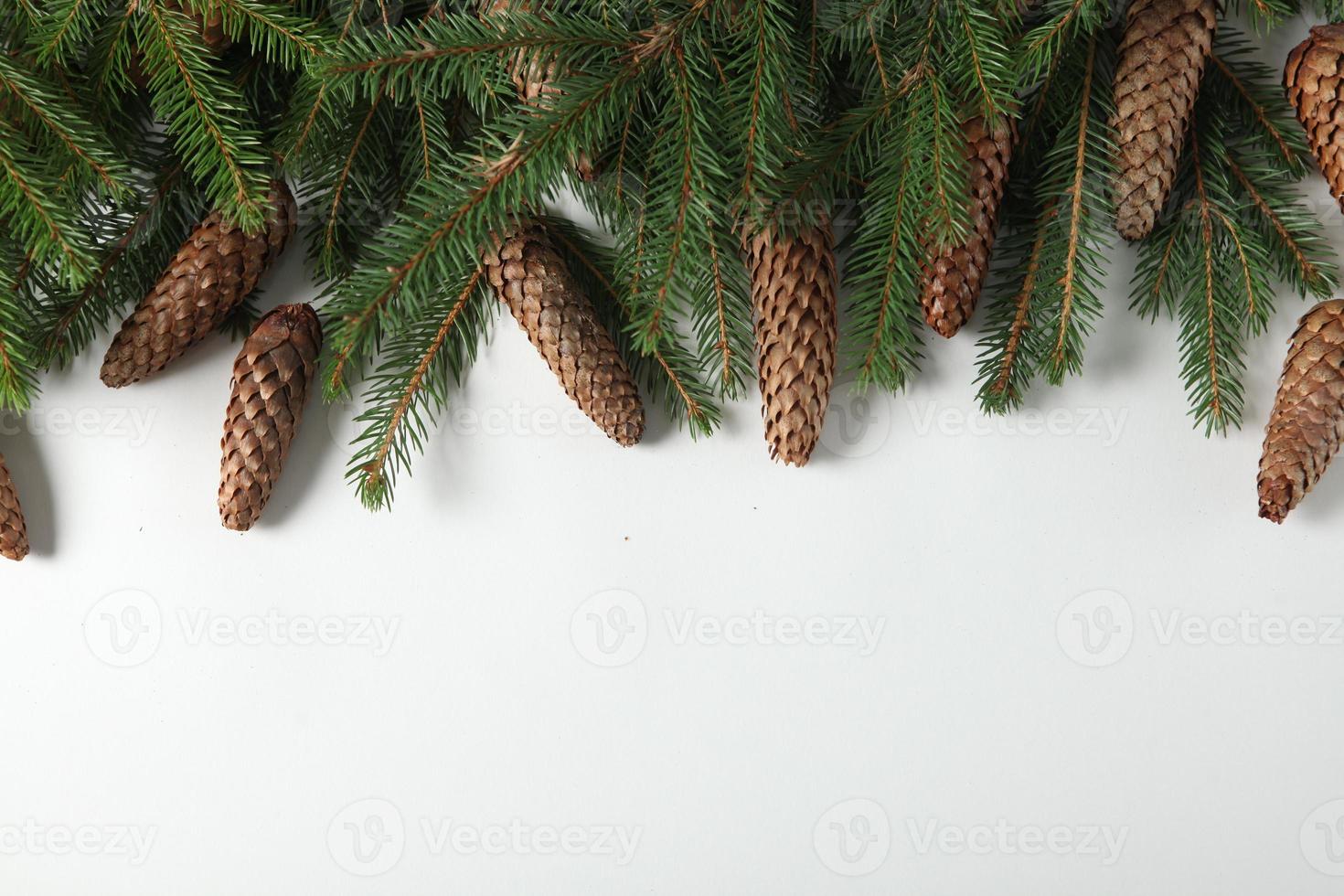 Holidays greeting card or banner composition with pine tree branches. Merry Christmas background and Happy New Year 2023. photo
