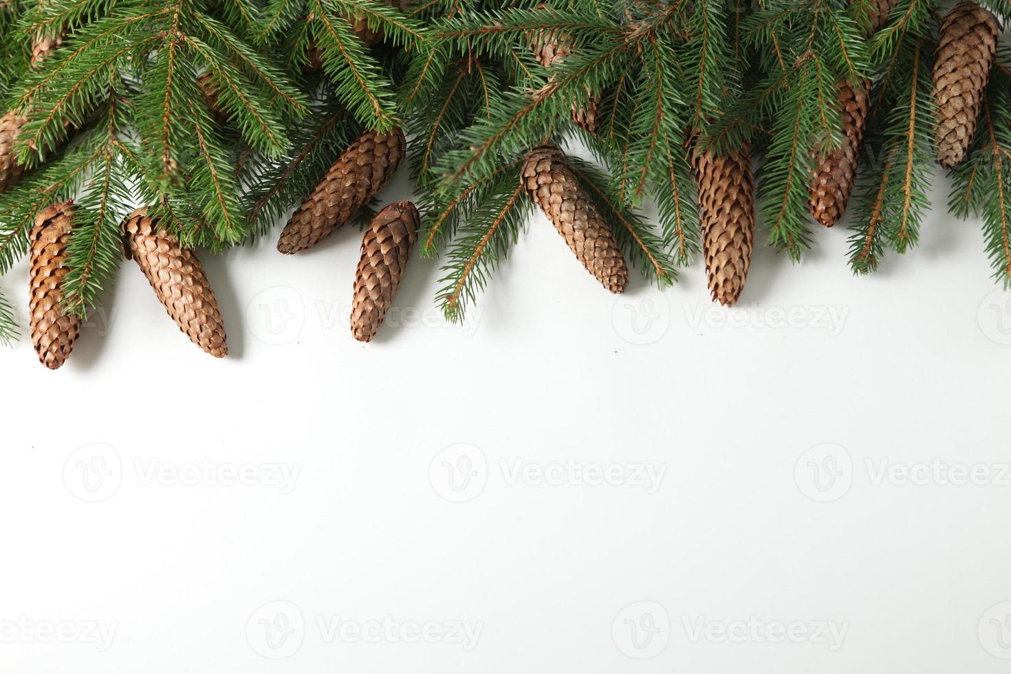 Holidays greeting card or banner composition with pine tree branches. Merry Christmas background and Happy New Year 2023. photo