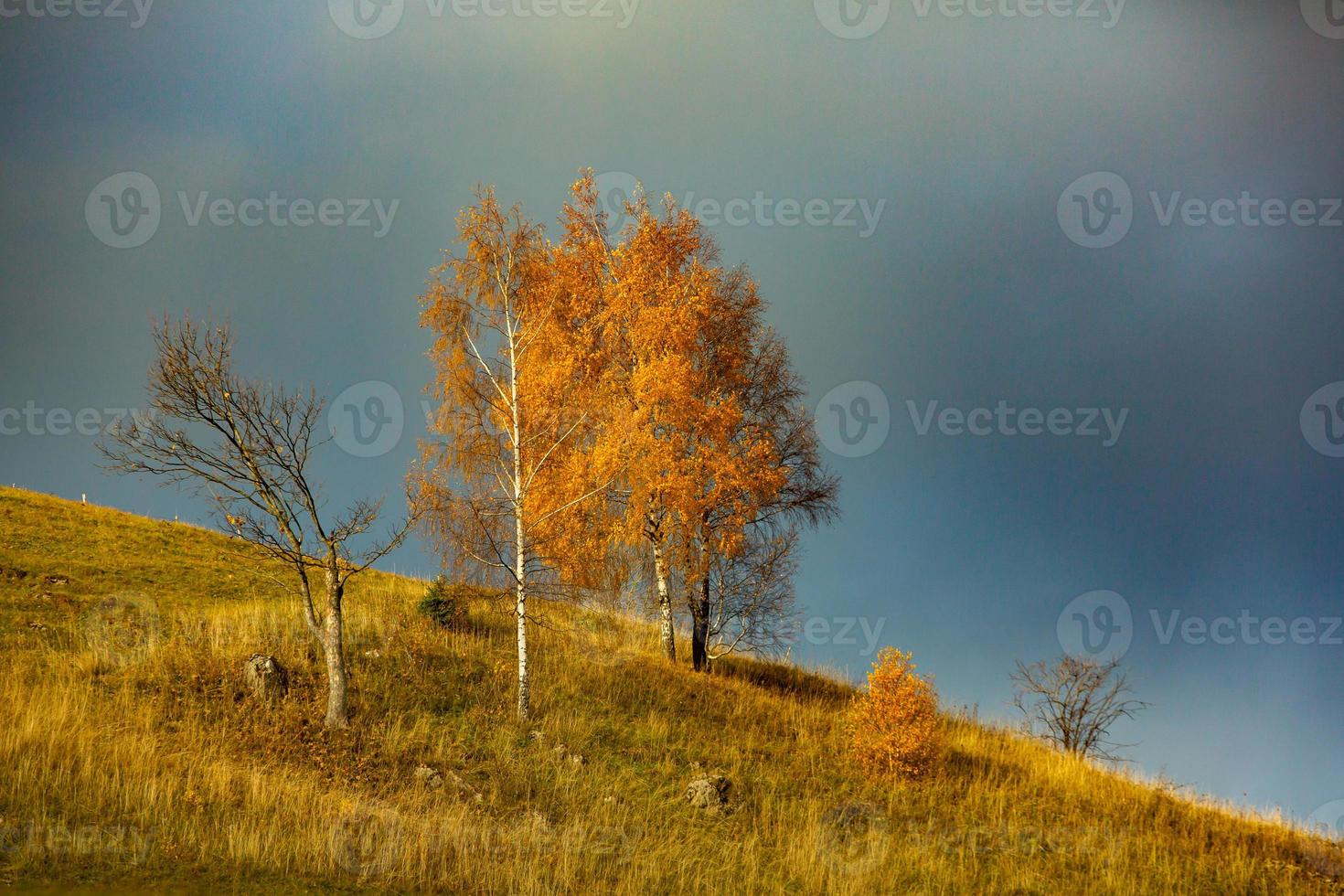 A charming mountain landscape in Carpathians, Romania. Autumn nature in Brasov, Europe photo