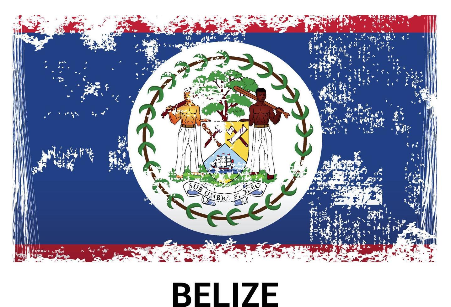 Belize flag design vector