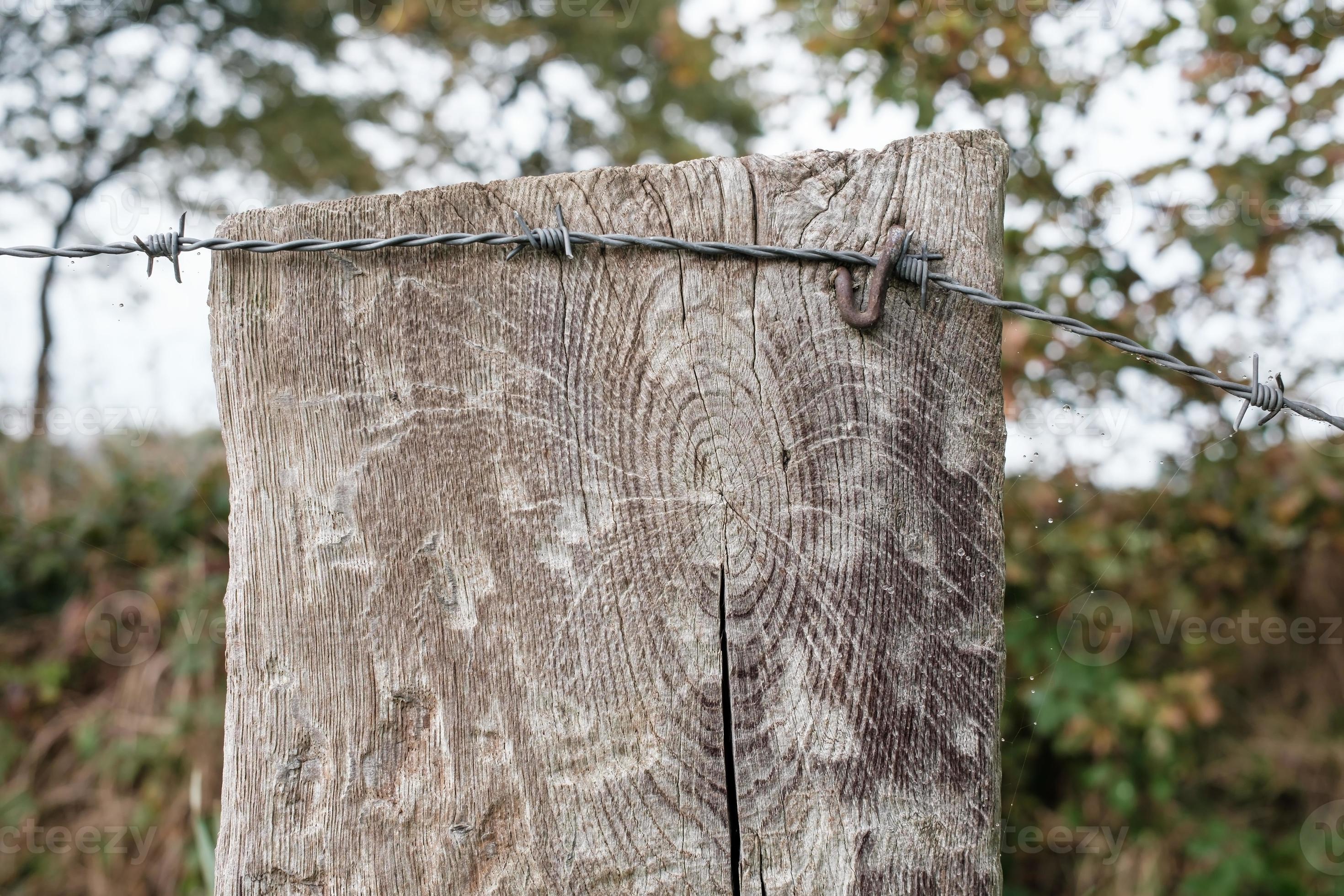 Barbed wire is attached with a rusty nail to an old wooden log