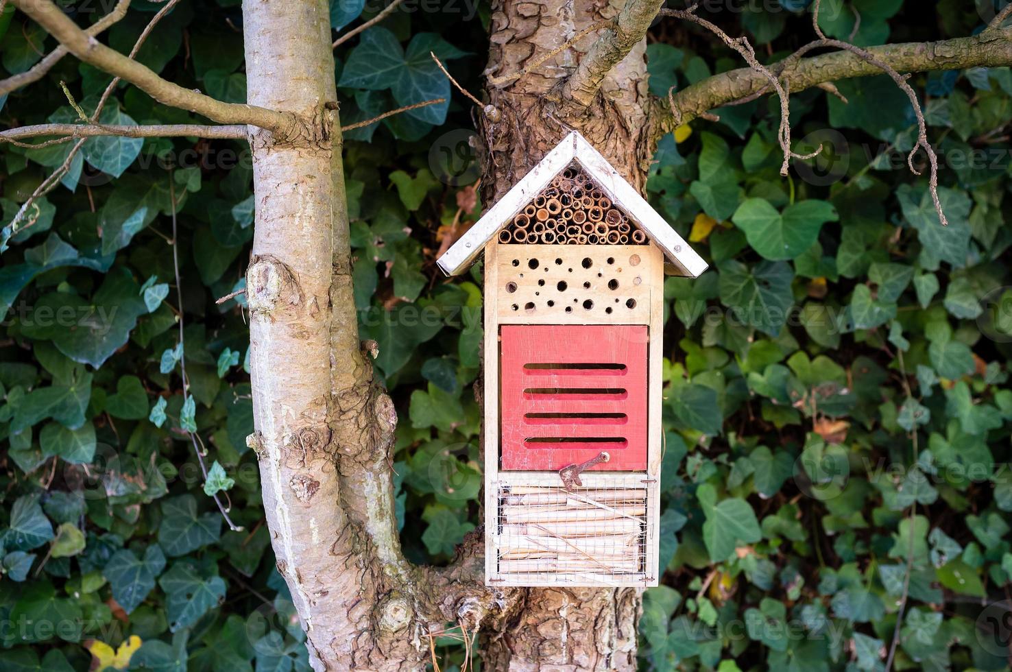 insects hotel with roof and holes hanging on tree photo