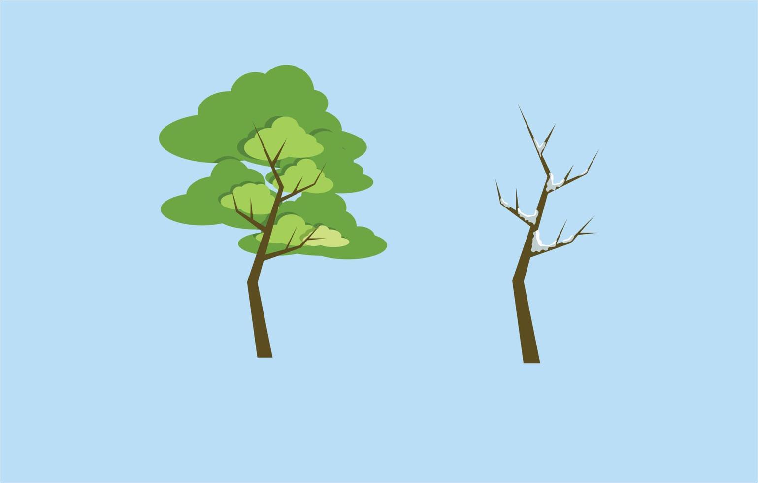 tree leaves in summer and tree in winter without leaf vector