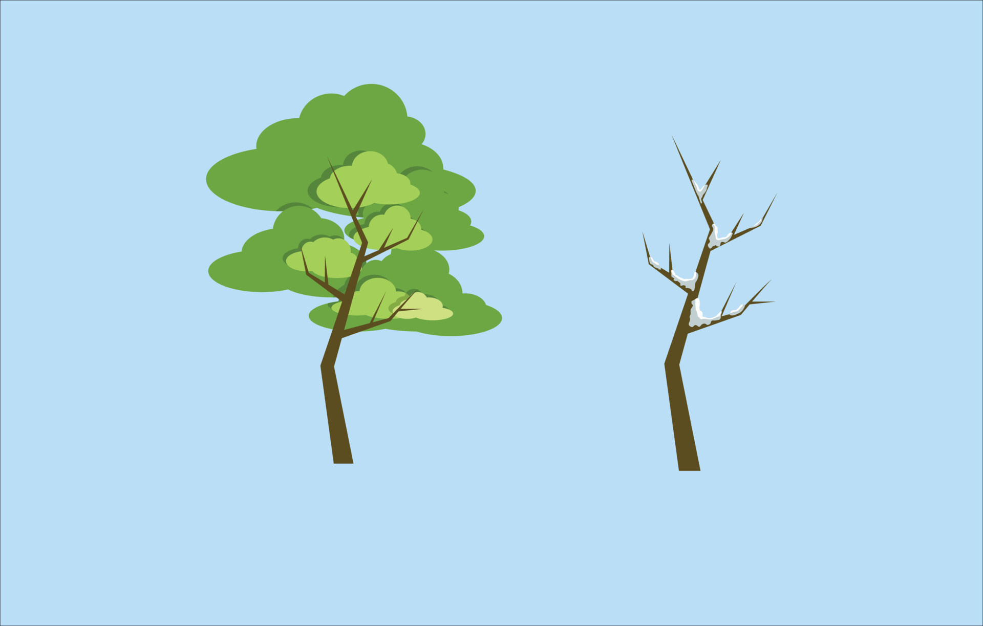Tree Leaves In Summer And Tree In Winter Without Leaf 14212394 Vector tree-leaves-in-summer-and-tree-in-winter-without-leaf-14212394-vector