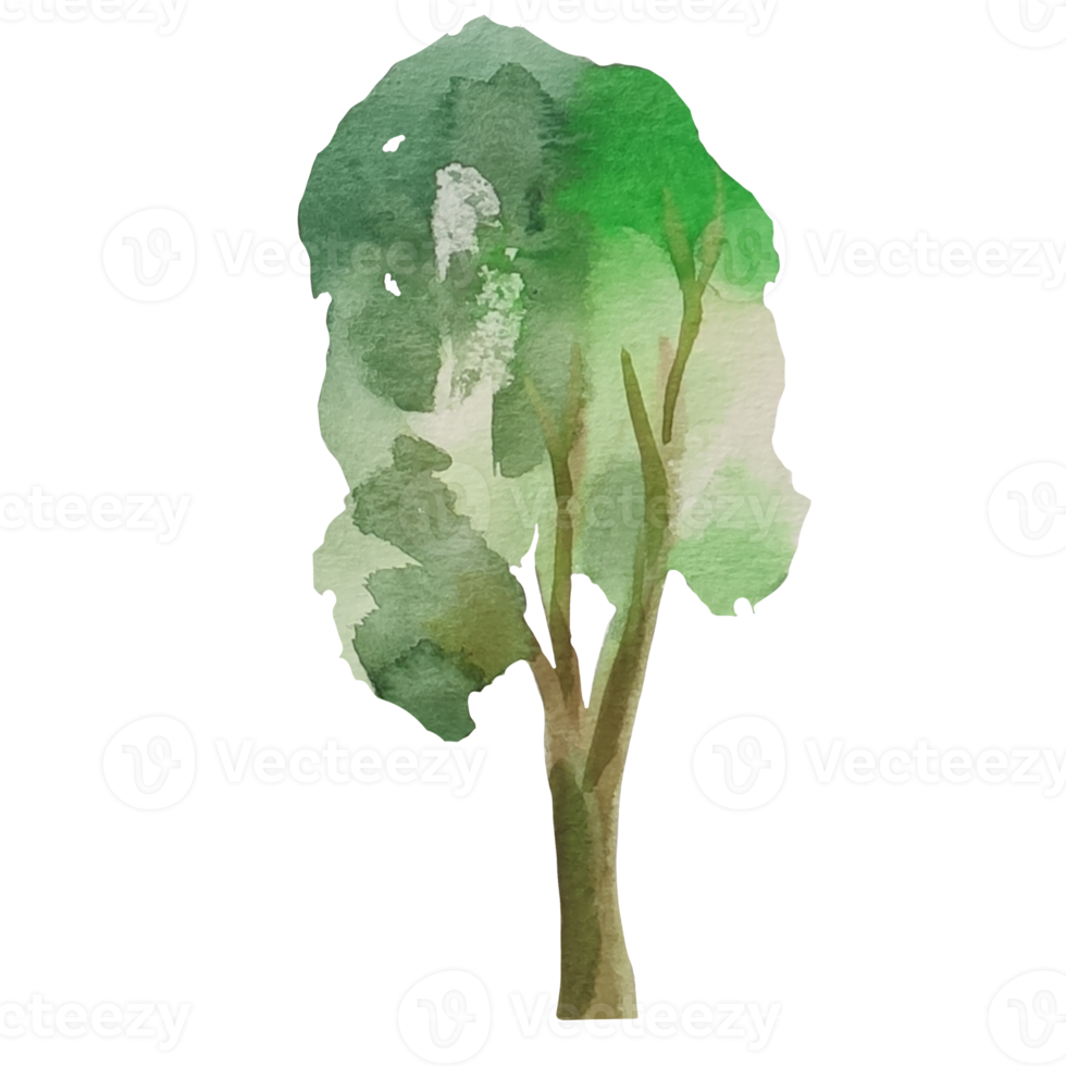 albero con foglie verdi acquerello illustrazione png