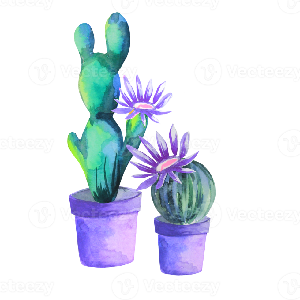 blommande kaktus i en kruka png