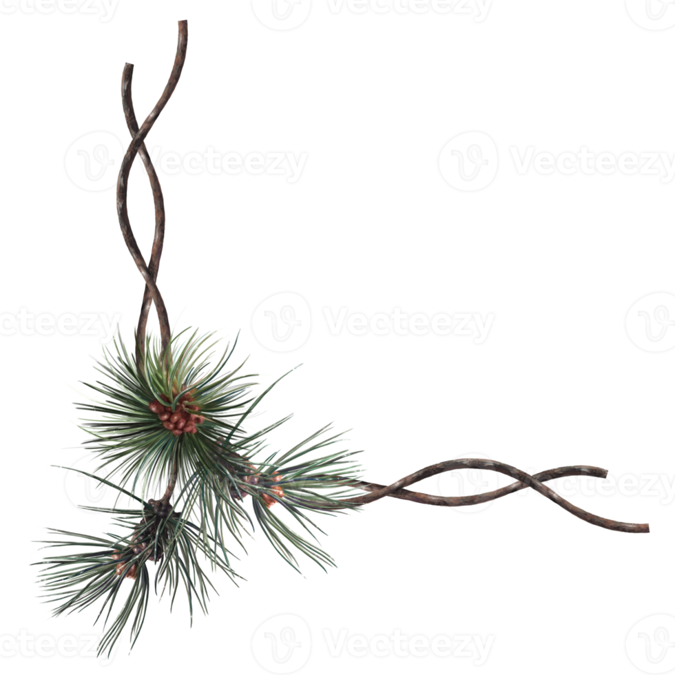 floristic composition of spruce branches png