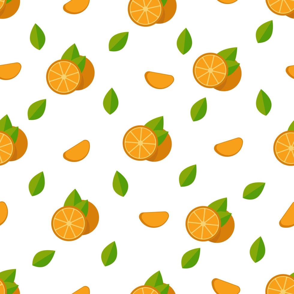 Tropical fruits, oranges, seamless pattern. Vector background for summer holiday, vacation.