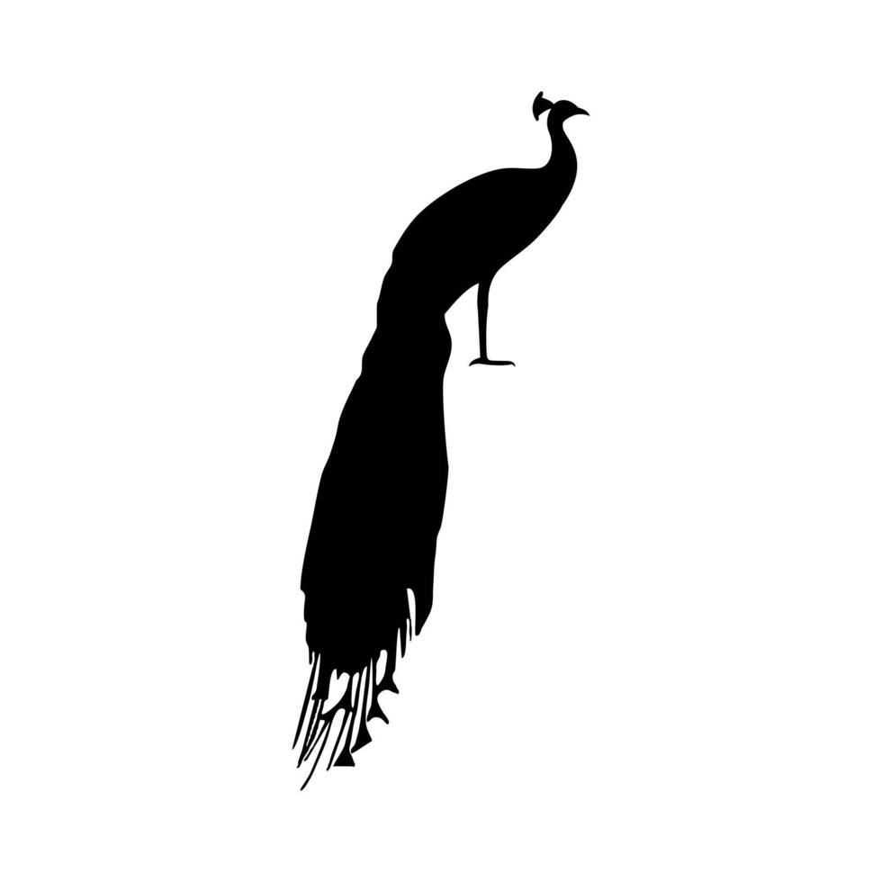 peacock silhouette logo vector