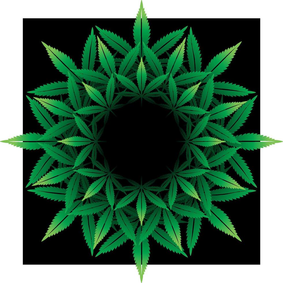 Round pattern from cannabis leaf on black vector