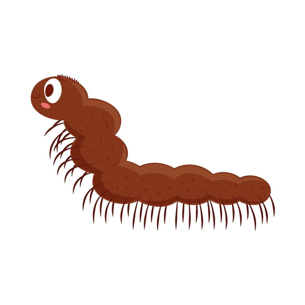 centipede insect cartoon vector