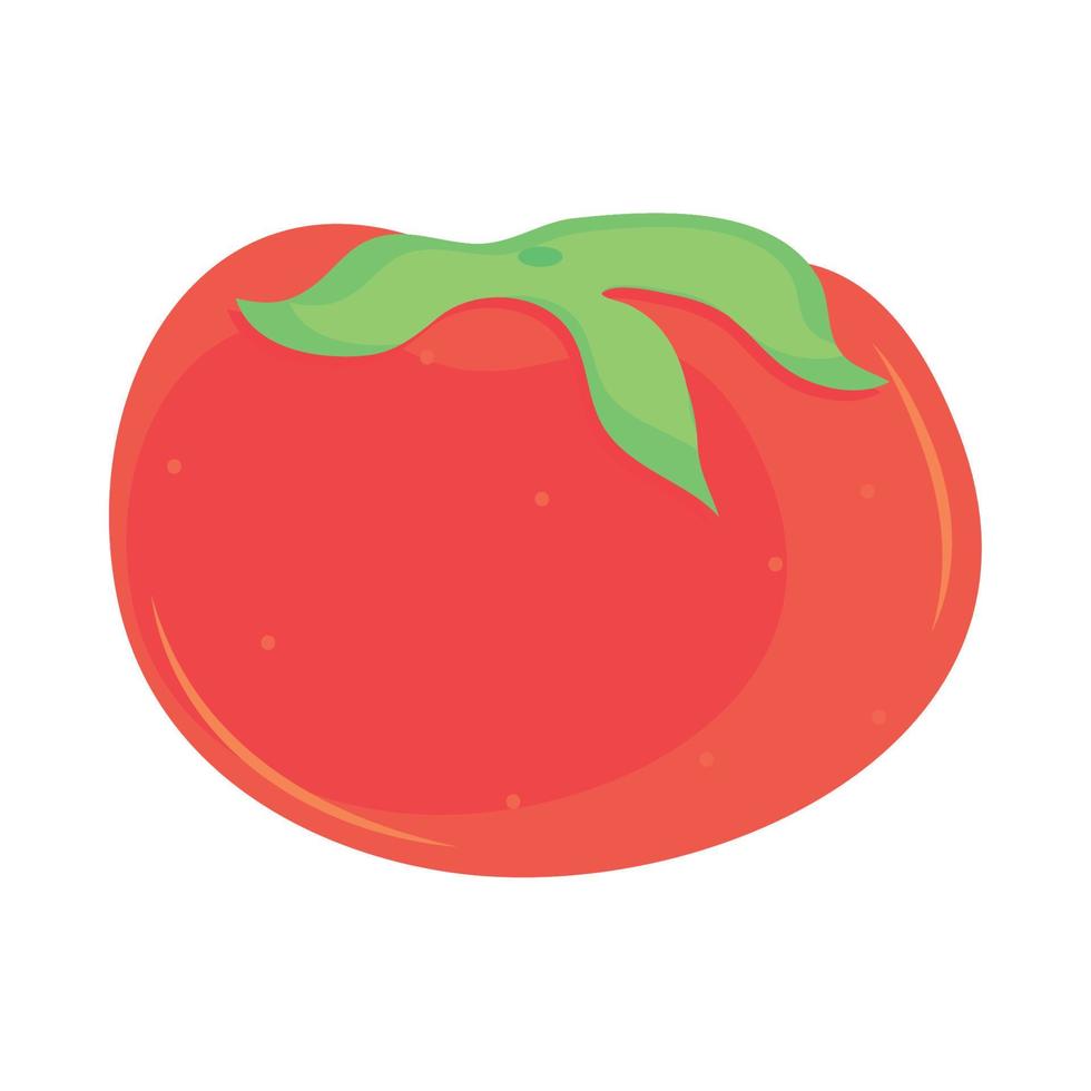 alimentos vegetales de tomate vector