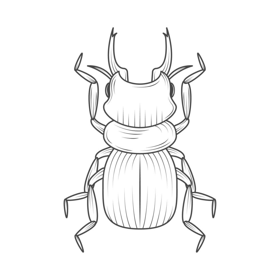 hornet insect animal vector