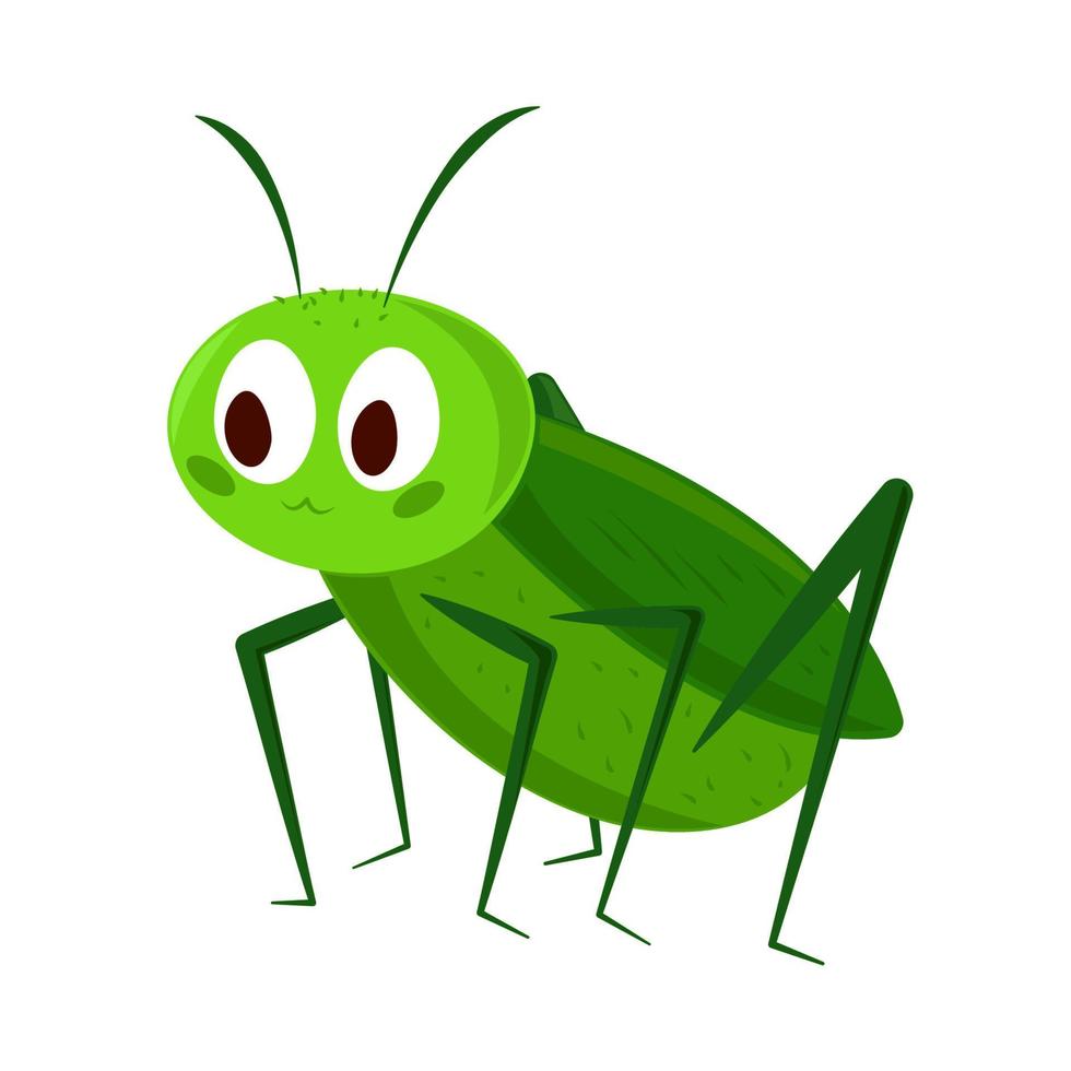 cricket insect cartoon vector